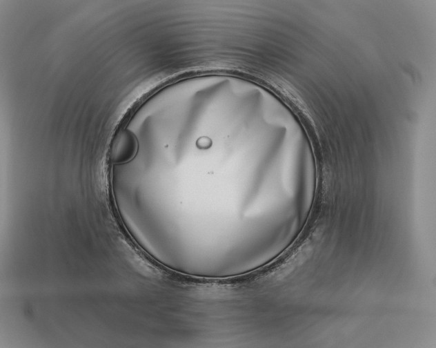 X0000113320789200910051124