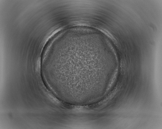 X0000113320790200910051124