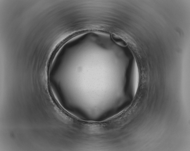 X0000113320792200910051124