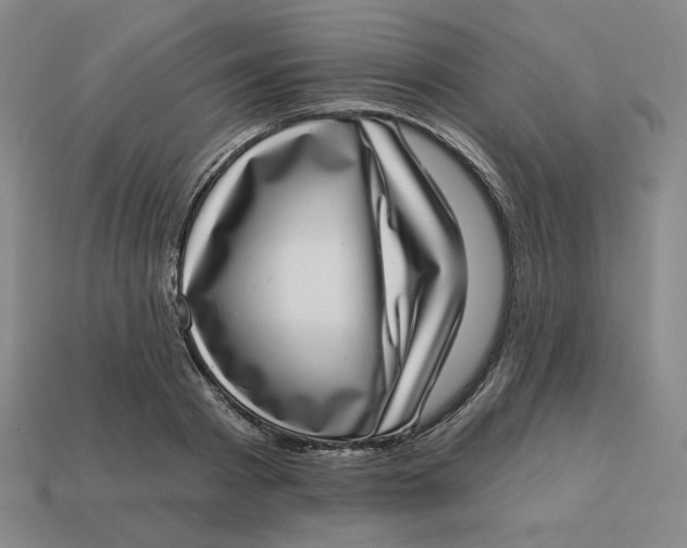 X0000113320793200910051124