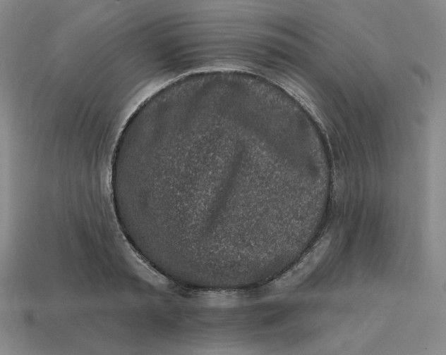 X0000113320797200910051124