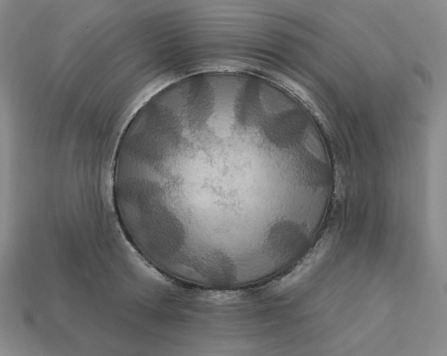 X0000113320802200910051124