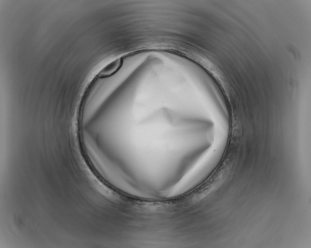 X0000113320803200910051124