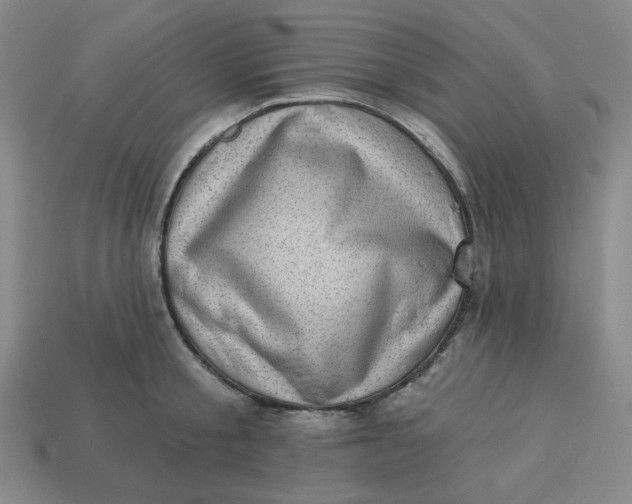 X0000113320805200910051124