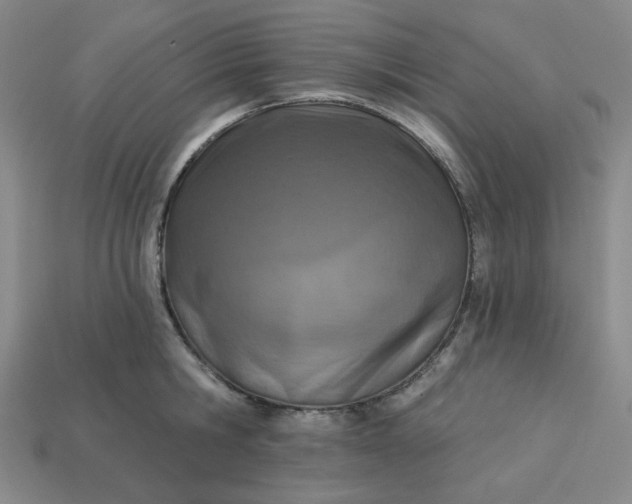 X0000113320806200910051124