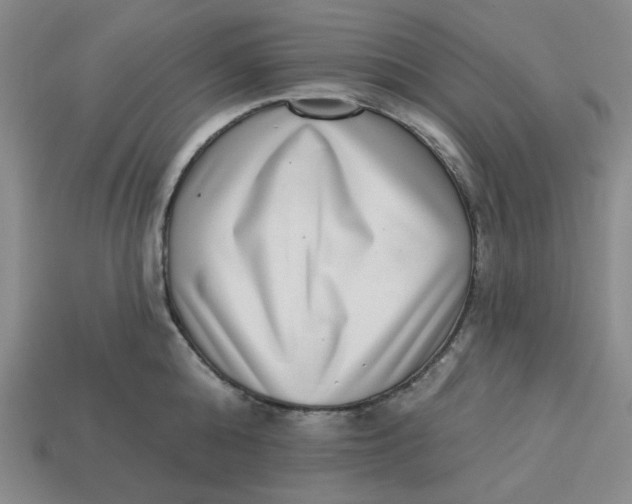 X0000113320808200910051124