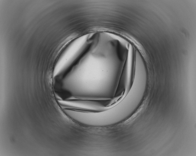 X0000113320809200910051124