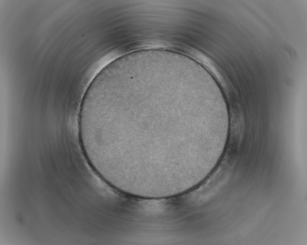 X0000113320810200910051124