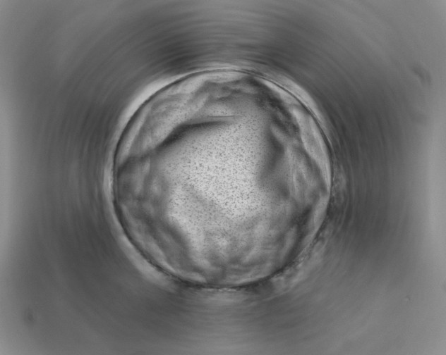 X0000113320811200910051124