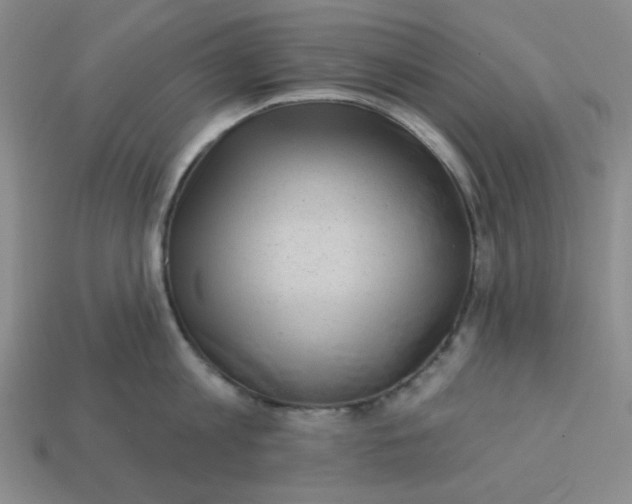 X0000113320813200910051124