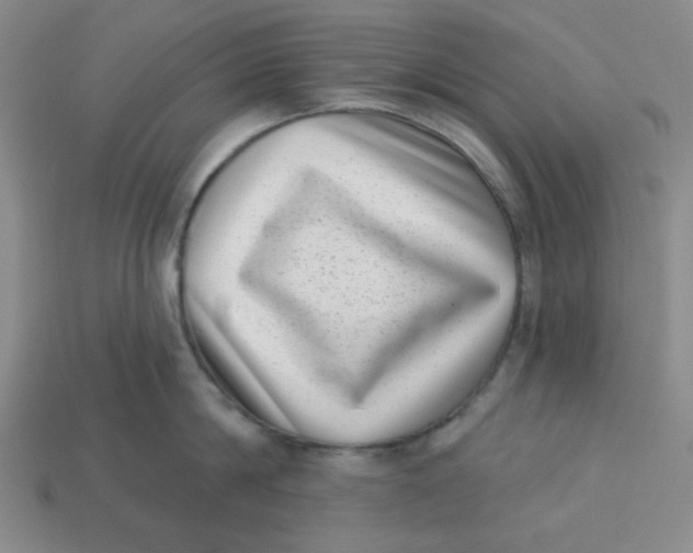 X0000113320814200910051124