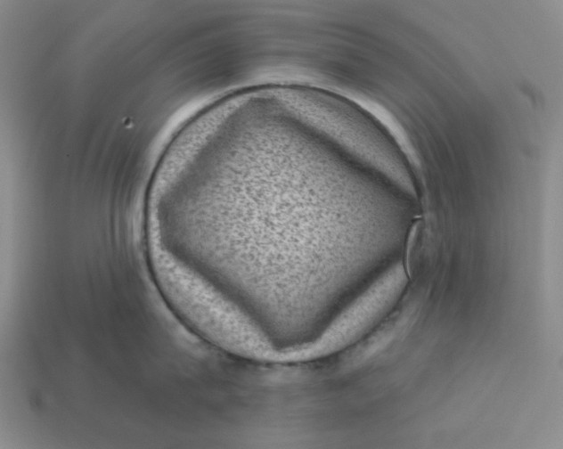 X0000113320815200910051124