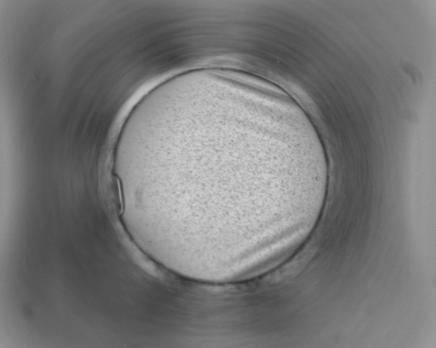 X0000113320816200910051124