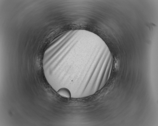 X0000113320819200910051123