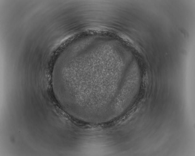 X0000113320822200910051123