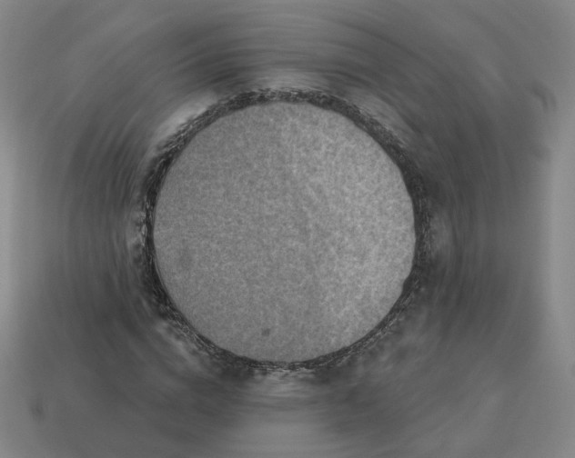 X0000113320824200910051123