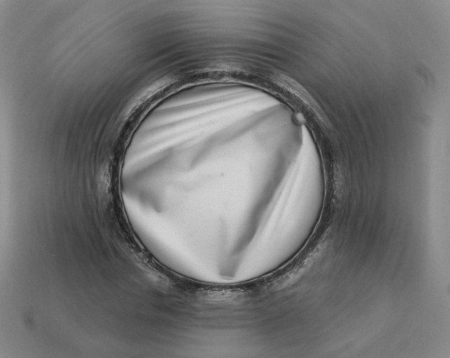 X0000113320826200910051123