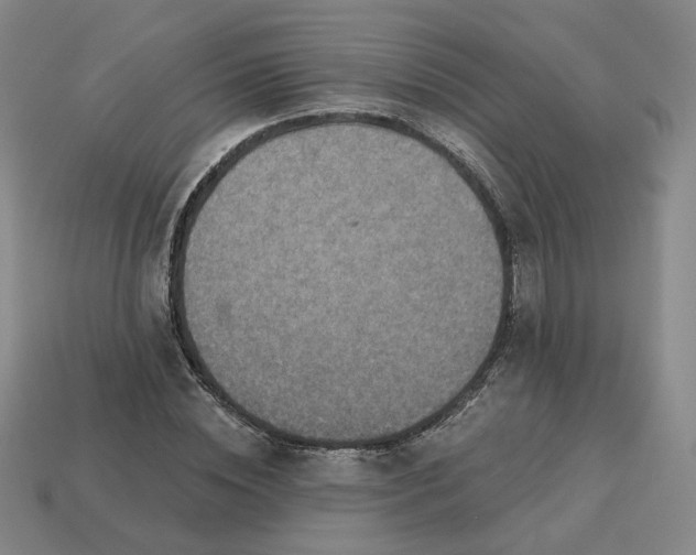 X0000113320828200910051123