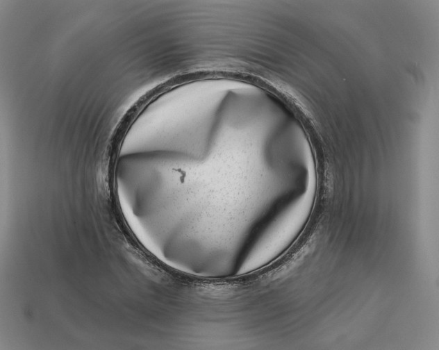 X0000113320830200910051123