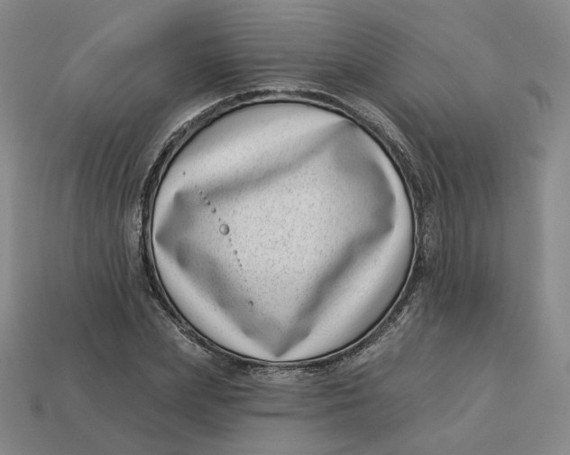 X0000113320831200910051123