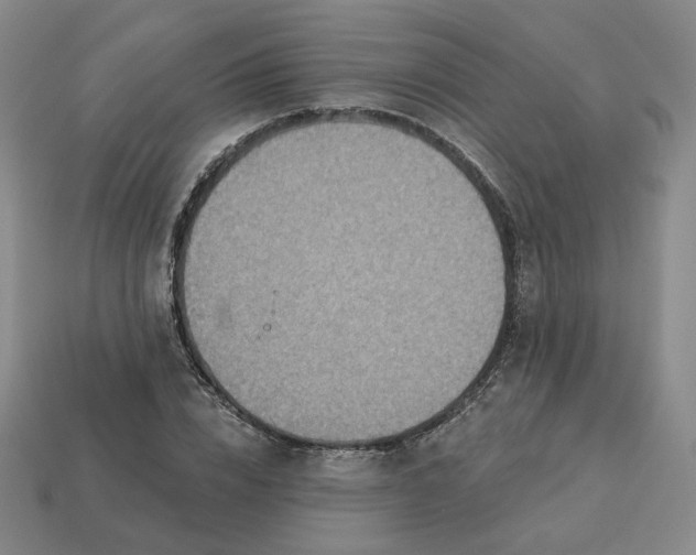 X0000113320832200910051123