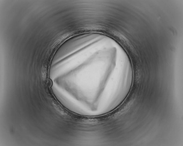 X0000113320833200910051123