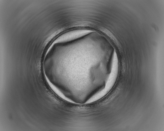 X0000113320834200910051123