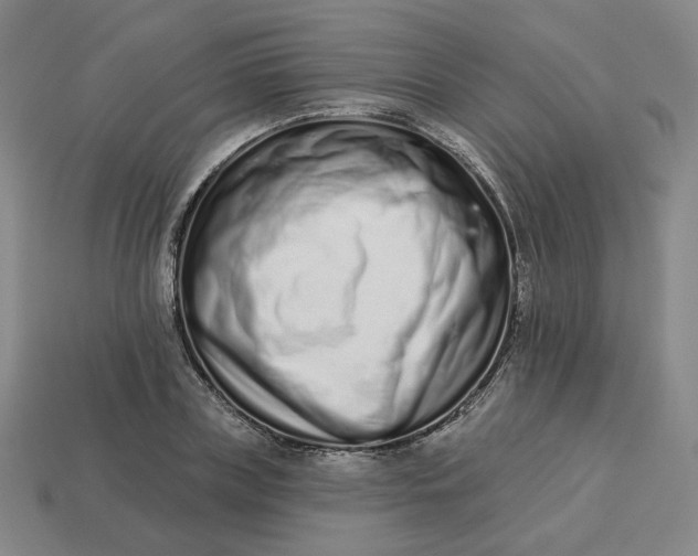 X0000113320835200910051123