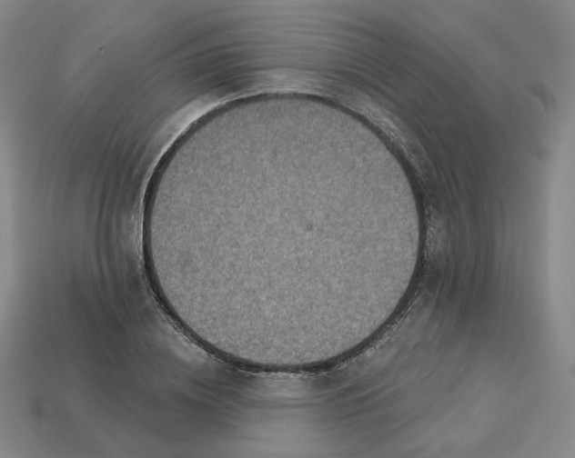 X0000113320836200910051123