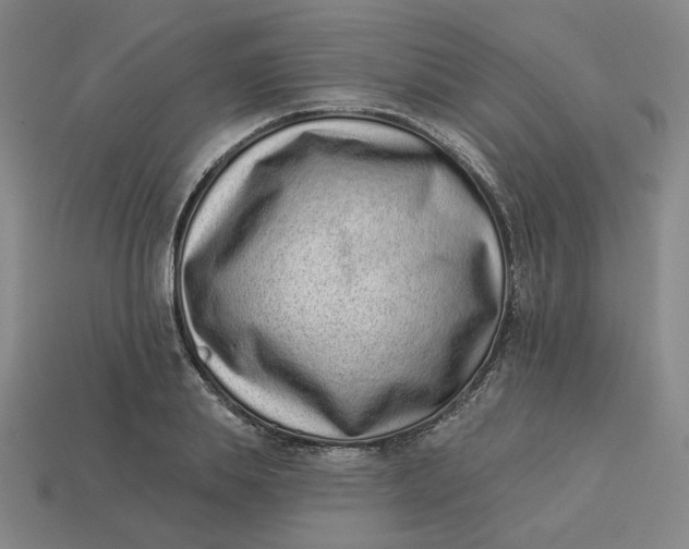 X0000113320839200910051123