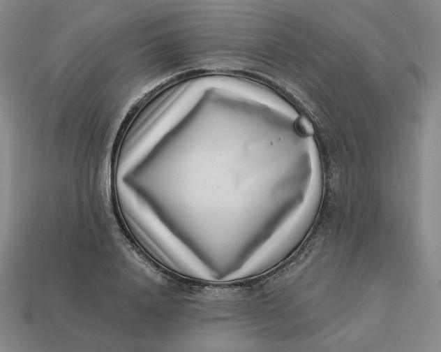 X0000113320840200910051123