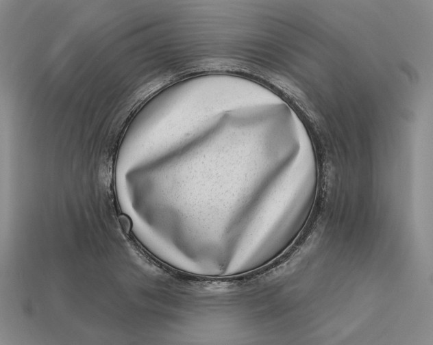 X0000113320841200910051123