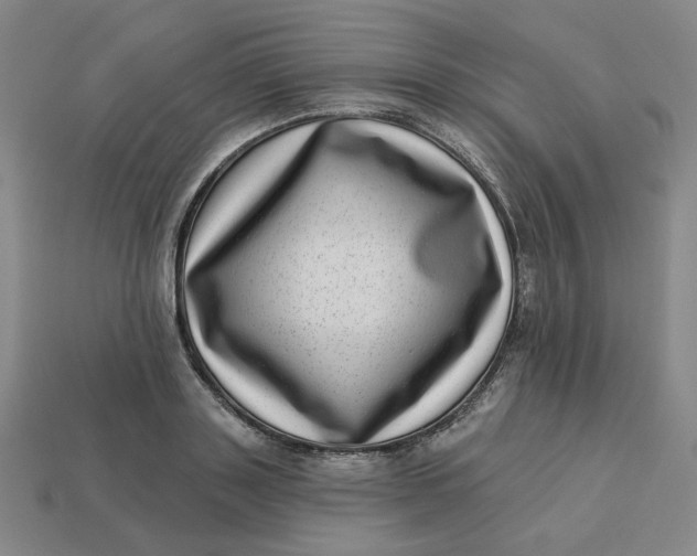 X0000113320843200910051123