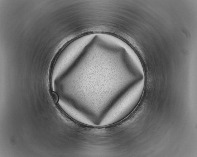 X0000113320845200910051123