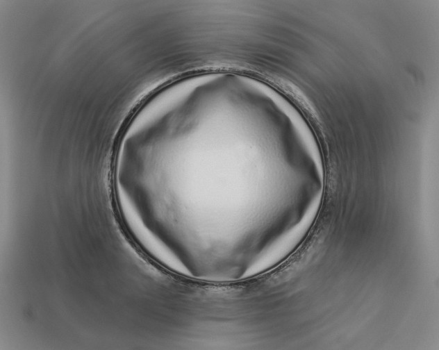 X0000113320847200910051123