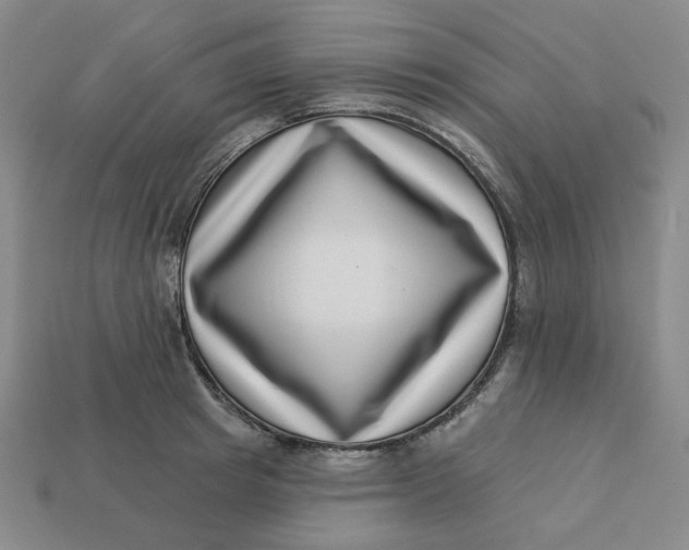 X0000113320849200910051123