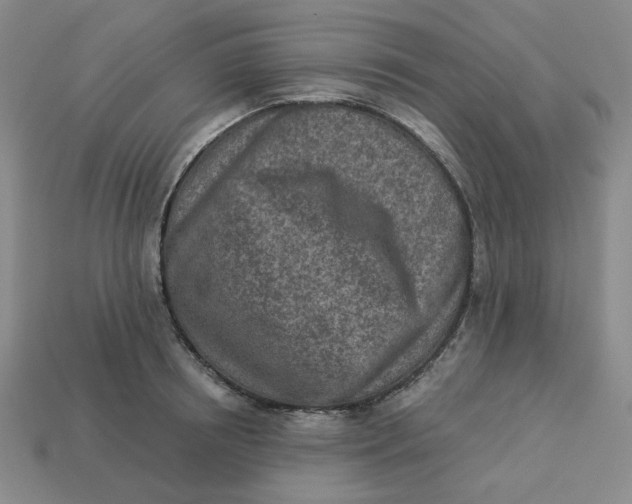 X0000113320850200910051124