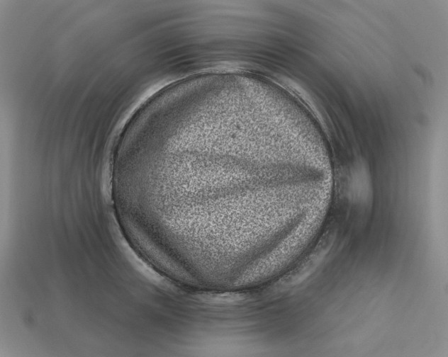 X0000113320851200910051124