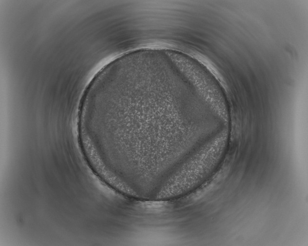 X0000113320853200910051124