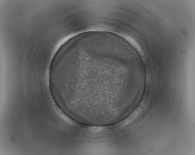 X0000113320854200910051124