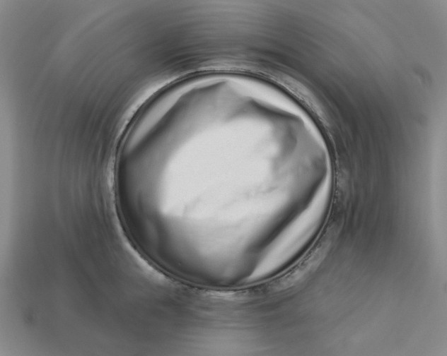 X0000113320855200910051124