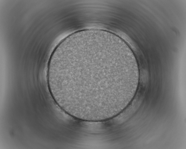 X0000113320856200910051124