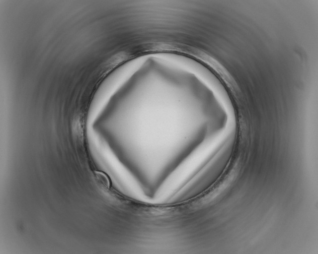 X0000113320857200910051124