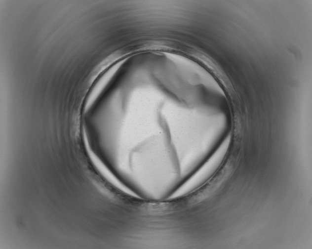 X0000113320858200910051124