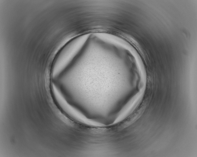 X0000113320859200910051124