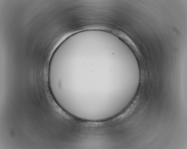 X0000113320860200910051124