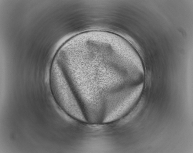 X0000113320862200910051124