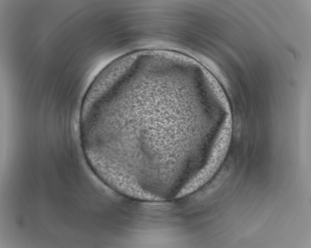 X0000113320863200910051124