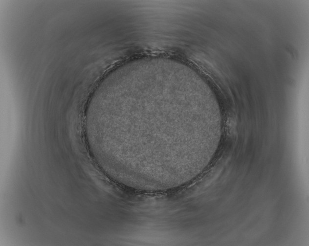 X0000113320865200910051123