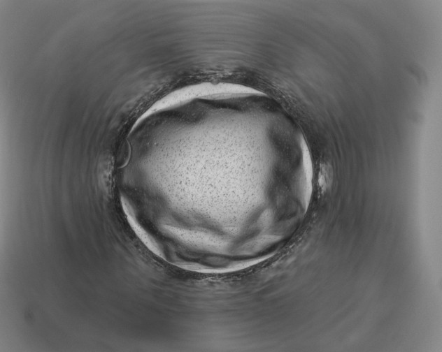 X0000113320867200910051123